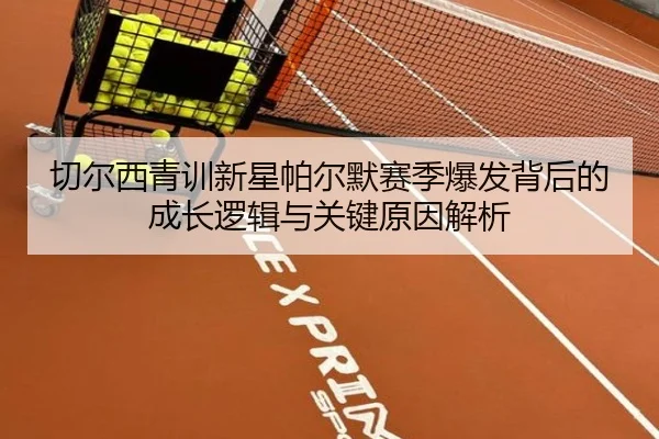 切尔西青训新星帕尔默赛季爆发背后的成长逻辑与关键原因解析
